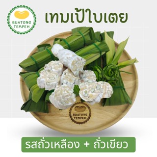 บัวตองเทมเป้ห่อใบเตยเจ้าแรก เทมเป้2สหายรสถั่วเหลือง+ถั่วเขียวTempeh Freshห่อละ 60 กรัม❤️ใบเตยล้างทำความสะอาดอย่างดี