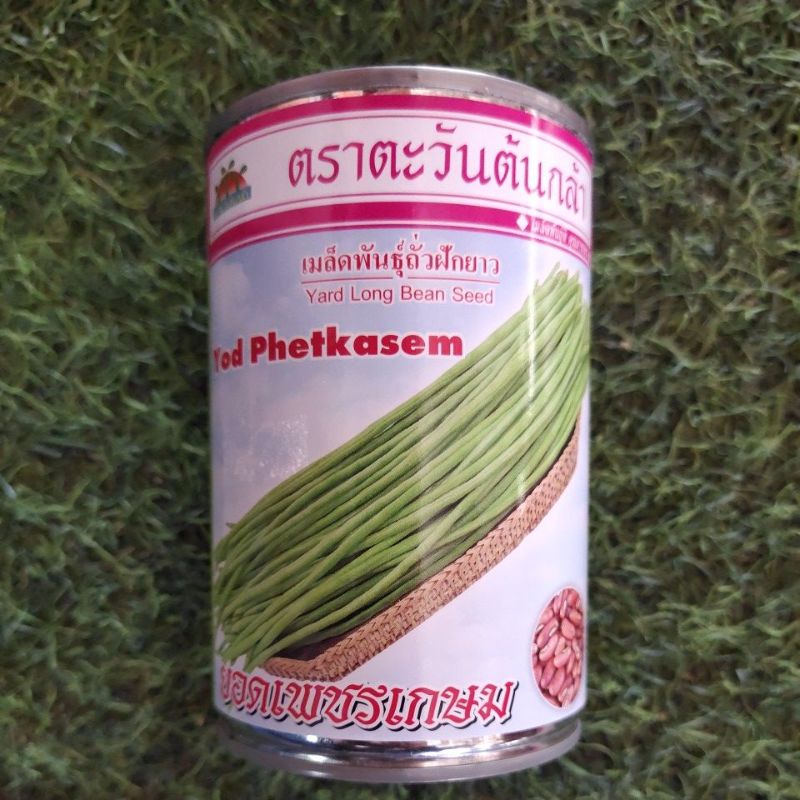 เมล็ดพันธุ์ถั่วฝักยาวยอดเพชรเกษม100กรัม-ถั่วเนื้อเมล็ดแดง