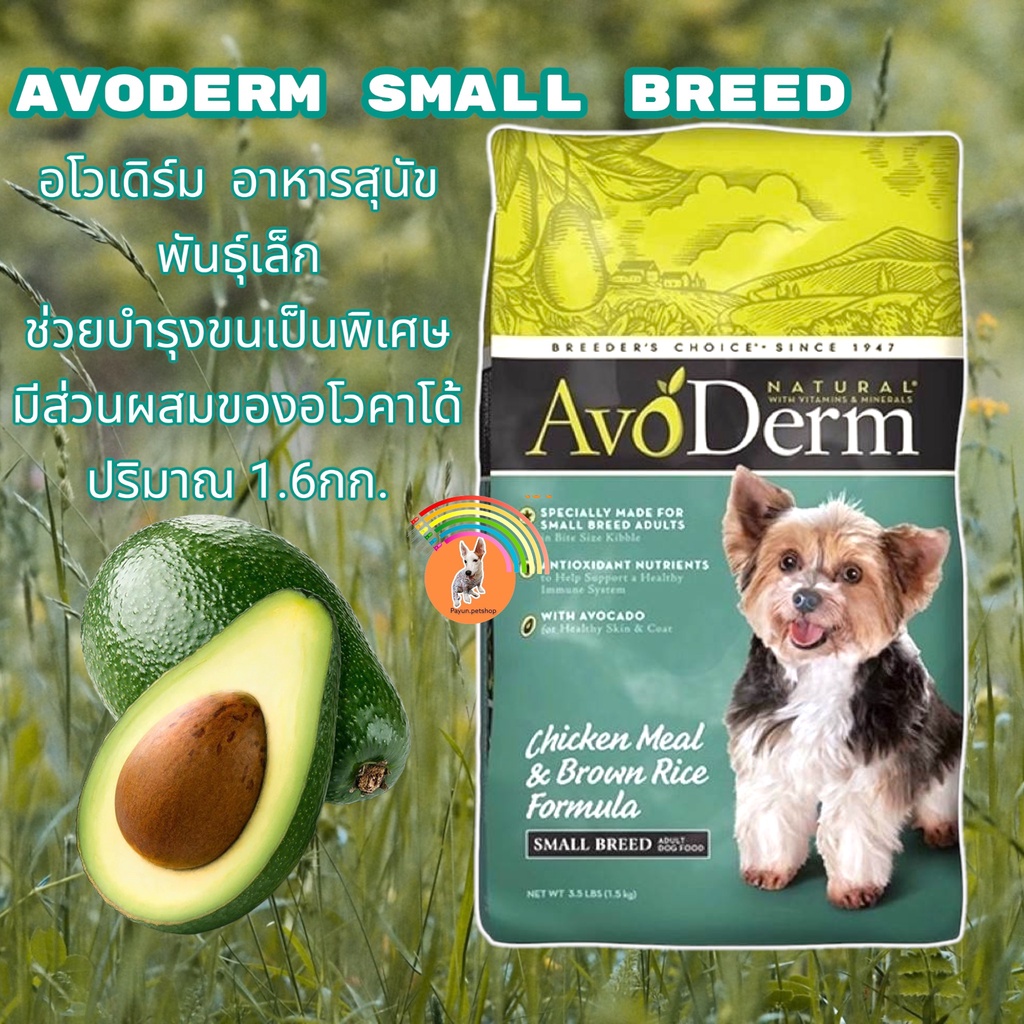 Avoderm small breed cheap