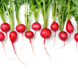 เมล็ด​พันธุ์​ แรดิชเชอร์รี่​เบล​ เรดิช เรดเรดิช Radish บรรจุ 40-100 เมล็ด​ [ซื้อ10 แถม 1 คละได้]