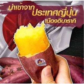 มันญี่ปุ่นแท้ เบนิฮารุกะ ชิโทริ2.5กิโล หวานอร่อย