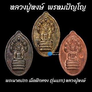 พระนาคปรก เม็ดฟักทอง(รุ่นแรก) หลวงปู่หงษ์ พรหมปัญโญ