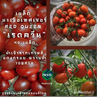 ผลิตภัณฑ์ใหม่ เมล็ดพันธุ์ [ พร้อมส่ง ] เมล็ดพันธุ์ มะเขือเทศเชอรี่ สีแดงสด นำเข้าจากเกาหลี หวานกรอบฉ่ำ Cherry to/มะระ QA