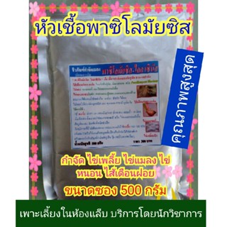 สินค้า หัวเชื้อพาซิโลมัยซิส ไลลาซินัส ชีวภัณฑ์ปลอดสารพิษ (แก้ไส้เดือนฝอยรากปม กำจัดไข่เพลี้ย ไข่แมลง ไข่หนอน) ขนาด 500 กรัม