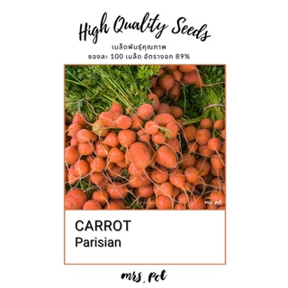 เมล็ดแครอท Parisian Carrot นำเข้าจากสหรัฐอเมริกา