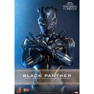สินค้าพรีออเดอร์ Hot Toys MMS675 1/6 Black Panther: Wakanda Forever - Black Panther
