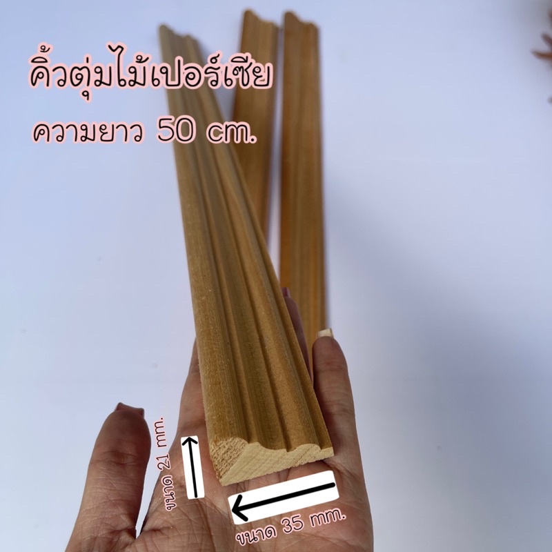 คิ้วตุ่มไม้เปอร์เซีย-ไม้เปอร์เซีย