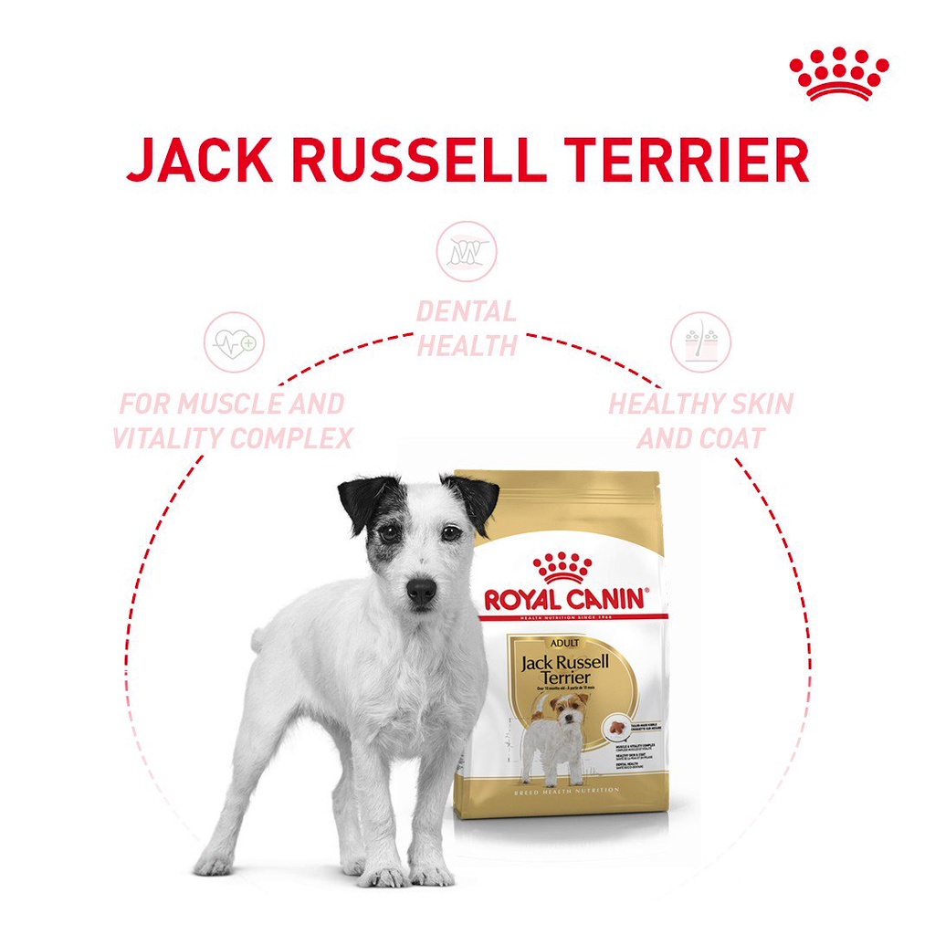 jack-russell-terrier-adult-7-5-kg-โรยัล-คานิน-อาหารสุนัขแบบเม็ด-สำหรับสุนัขพันธุ์แจ็ค-รัสเซล-ขนาด-7-5-กก