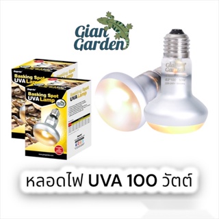หลอดไฟ UVA 100 วัตต์ หลอดไฟกกสัตว์กลางวัน (GianGarden)