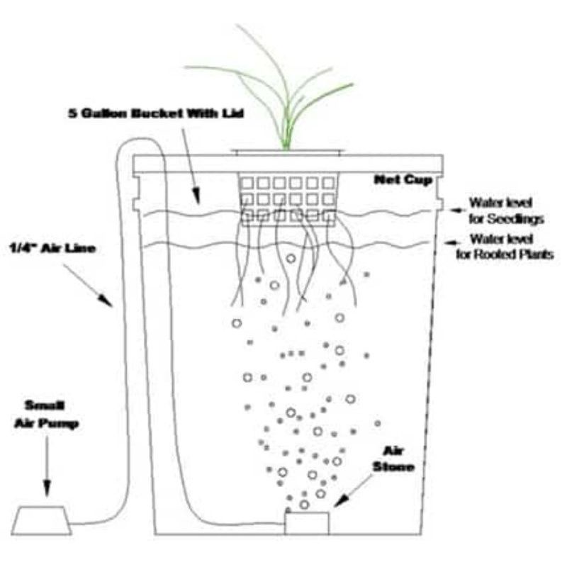 ถังสี่เหลี่ยมปลูกต้นไม้แบบไม่ใช้ดิน-ถังปลูกไฮโดรโปนิกส์-dwc-hydroponics-20l