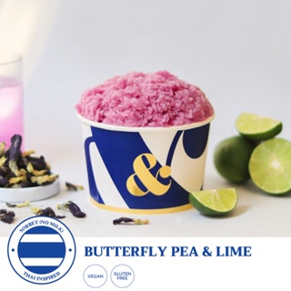 Butterfly Pea &amp; Lime ( เจลาโต้ อัญชันมะนาว ขนาด 4/8/16 oz.) ส่งทั่วประเทศ - Ampersand Gelato