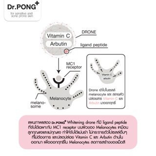 ภาพขนาดย่อของภาพหน้าปกสินค้าDr.PONG 28D whitening drone serum เซรั่มผิวขาว ลดจุดด่างดำ ดอกเตอร์พงศ์ Niacinamide + Vit C +Arbutin จากร้าน drpongshop บน Shopee ภาพที่ 8