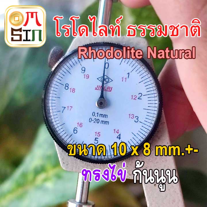 a276-10-x-8-มิล-1-เม็ด-ไข่-โรโดไลท์-กาเน็ต-พลอยแท้-rhodolite-garnet-พลอยสด-พลอยดิบ-ธรรมชาติแท้-ไม่เผา