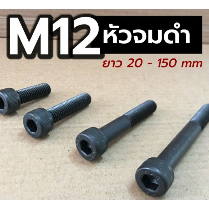 สกรูหัวจม-ดำ-m12-ยาว-20-150-มิล-น็อตหัวจม-ขายเป็นชุด