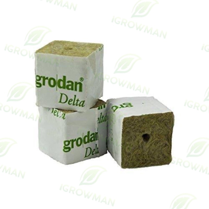 rockwool-grodan-เพาะต้นกล้า-เพาะเมล็ด-เพาะชำ-ไฮโดรโปนิกส์-hydroponics