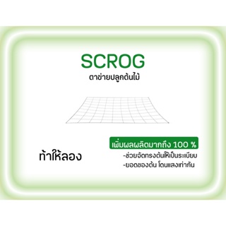 ภาพย่อรูปภาพสินค้าแรกของSCROG ตาข่ายปลูกต้นไม้ ดัดกิ่งต้นไม้ เพิ่มผลผลิตมากขึ้น