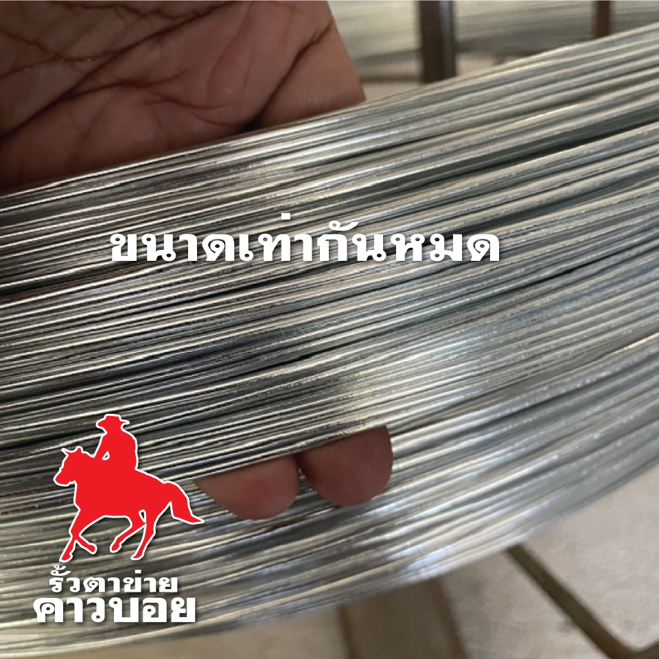 ลวดทนสนิม-ลวดขาว-ลวดช๊อต-2-0mm-ลวดชุบซิงค์แบบจุ่มร้อน-galvanized-wire-ลวดอเนกประสงค์-ลวดเหล็ก-ลวดชุบขาว