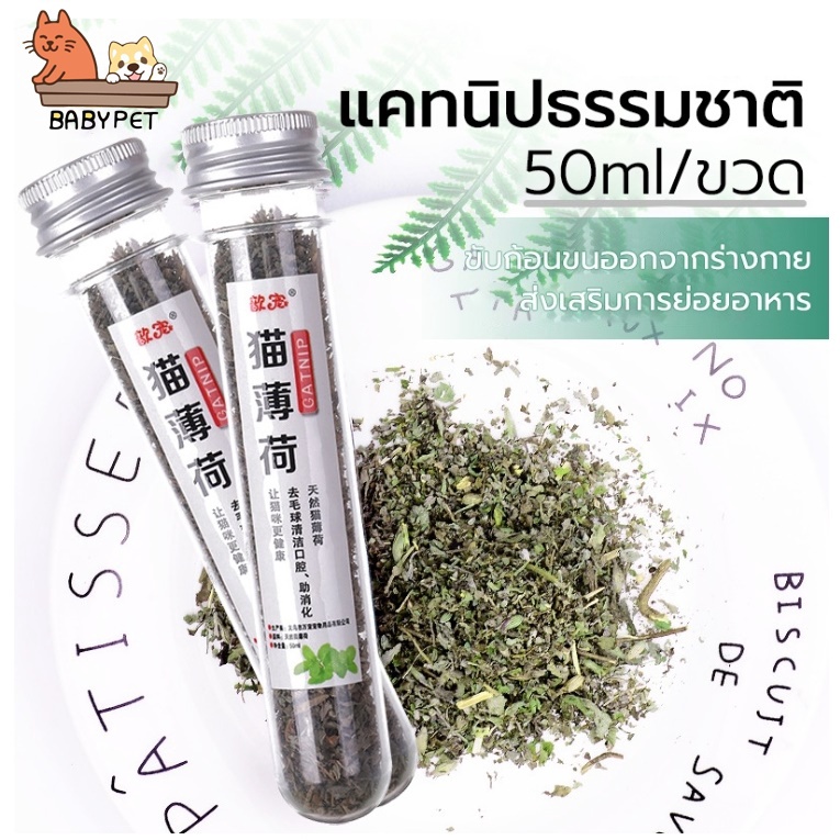 p012-baby-pet-แคทนิป-catnip-สมุนไพรออร์แกนิคสำหรับแมวแบบหลอด-50ml-ช่วยผ่อนคลาย-อารมณ์ดี