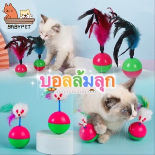 ภาพหน้าปกสินค้า【P/N】BABY PET😺ลูกบอลล้มลุก ของเล่นแมว บอลหนูล้มลุกแสนสนุกสีสวยๆ ของเล่นแมว บอลล้มลุก 🐈 ที่เกี่ยวข้อง