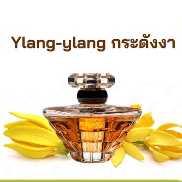 หัวเชื้อน้ำหอมกลิ่น-กระดังงา-เข้มข้นติดทนยาวนาน-fragrance-oil-ขนาด-30ml