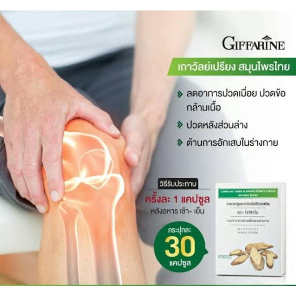 ส่งฟรี-เถาวัลย์เปรียงสกัด-ตรา-กิฟฟารีน-ยาแผนโบราณ-ยาสามัญประจำบ้าน-giffarine-บรรเทาอาการปวดเมื่อย-ปวดหลัง-ปวดเอว