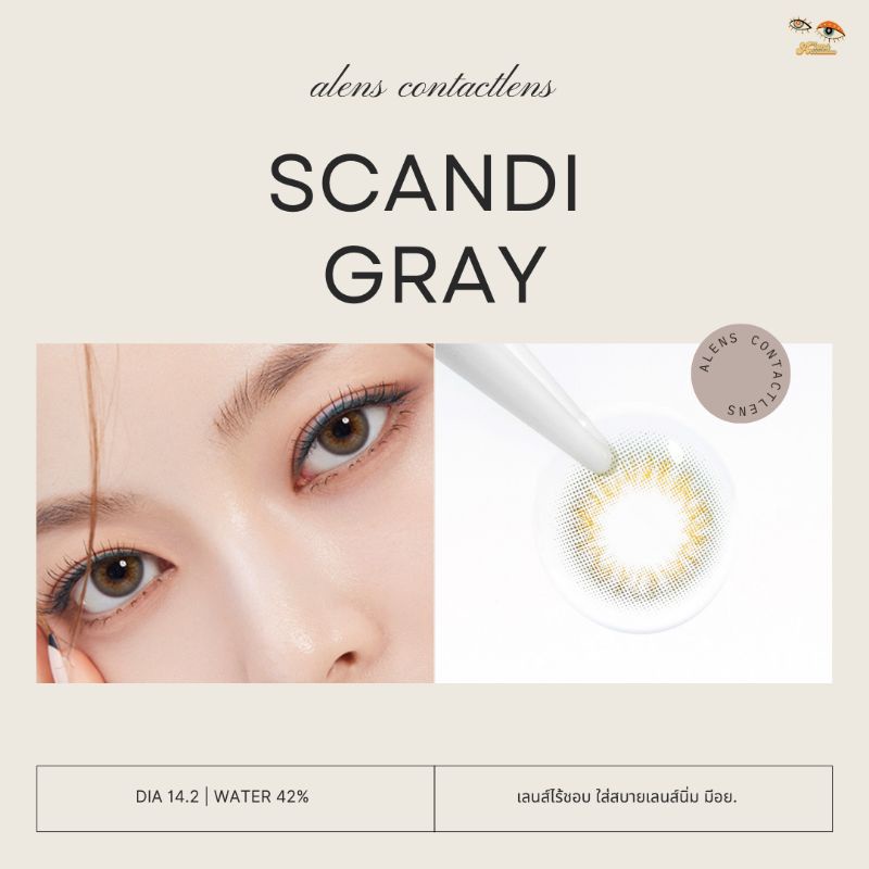 new-scandi-gray-คอนแทคเลนส์รายเดือน