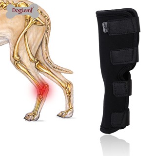 สายรัดข้อเท้าสุนัข สายรัดขาสุนัข แบบยาว (Hock Brace) Doglemi [พร้อมส่ง]