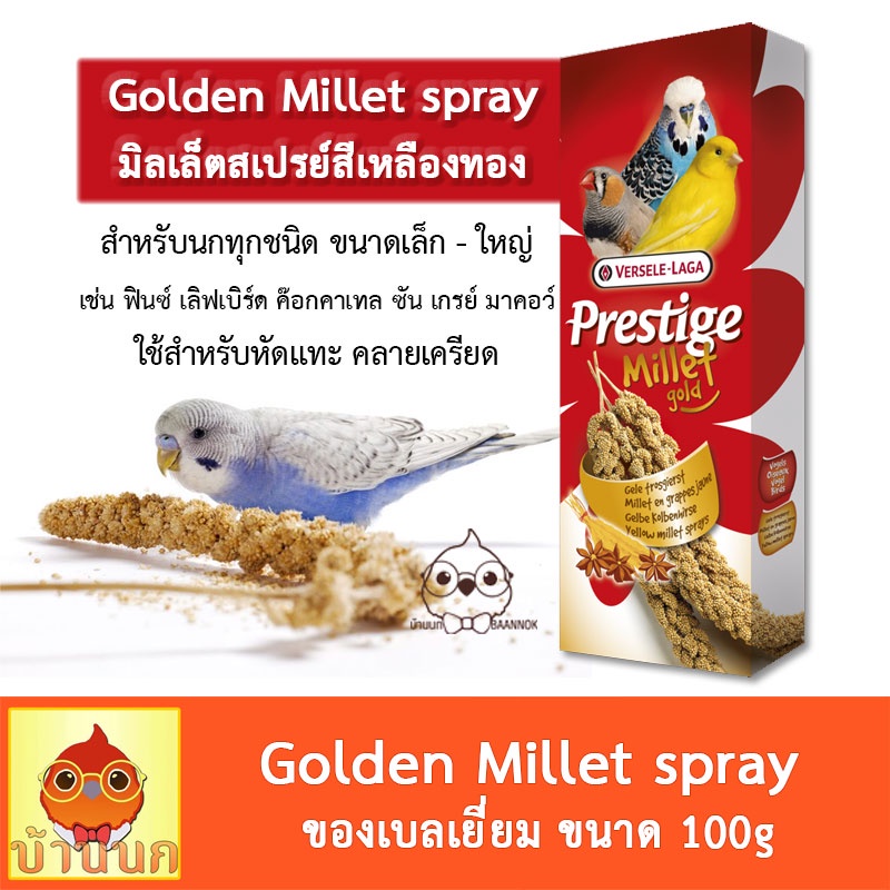 golden-millet-spray-100g-ทั้งกล่อง-มิลเล็ตสเปรย์-มิลเลต-อาหารนก-หัดแทะ-ลูกนก-มิลเล็ต-อาหารนกเล็ก