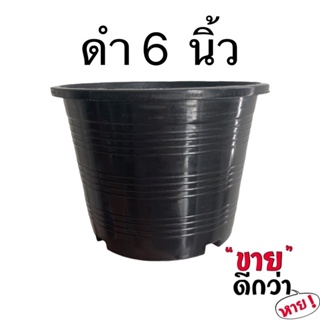 กระถางดำ 6 นิ้ว 50 ใบ