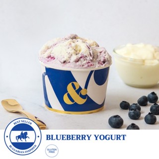 Blueberry Yogurt ( เจลาโต้ บลูเบอร์รี่ โยเกิร์ต ขนาด 4/8/16 oz.) ส่งทั่วประเทศ - Ampersand Gelato