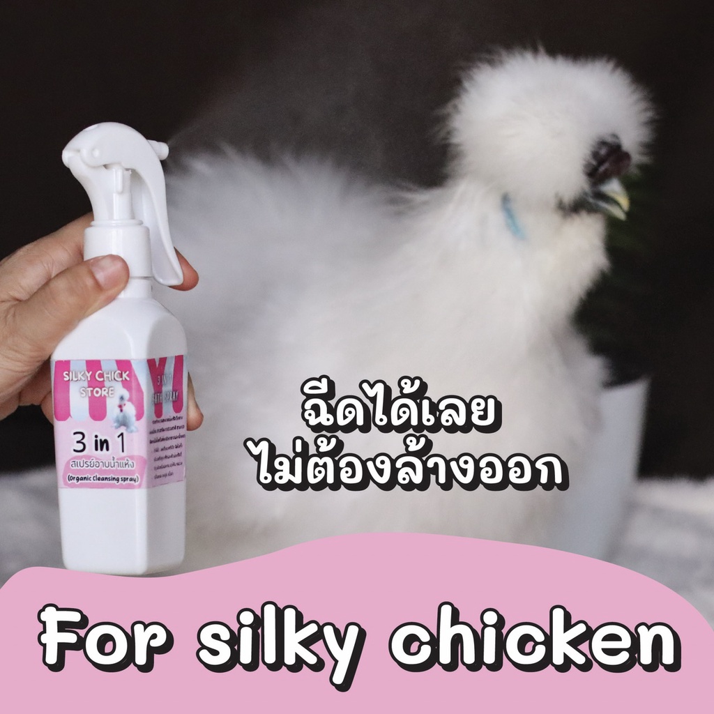 ภาพหน้าปกสินค้าสเปรย์อาบน้ำแห้งซิลกี้ 3 in 1 (Organic cleansing spray) : สเปรย์อาบน้ำไก่ จากร้าน silky_chick_store บน Shopee