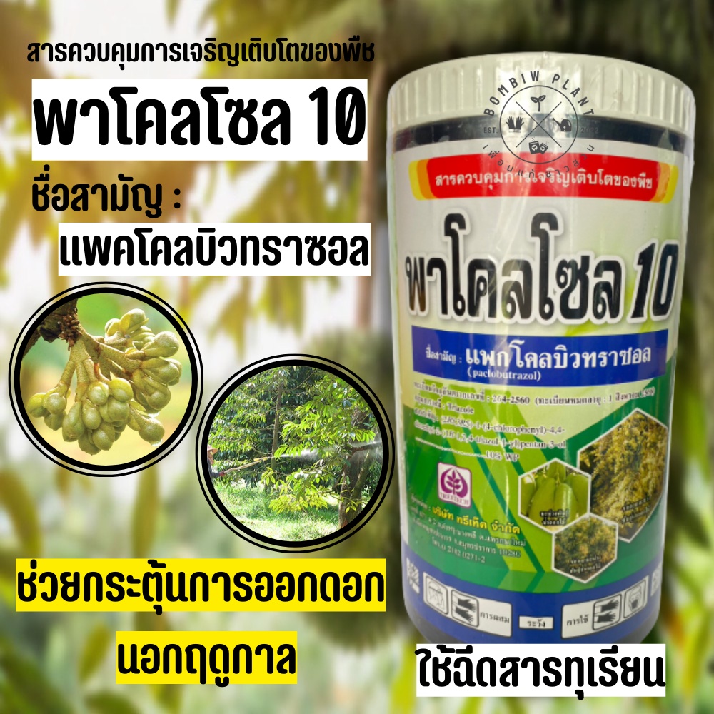 แพคโคลบิวทราซอล10-ขนาด-1-กิโลกรัม-เป็นสารควบคุมการเจริญเติบโตของพืชช่วยกระตุ้นการออกดอก-ทำให้ออกดอกได้เร็วขึ้นก่อนฤดู