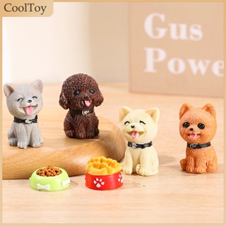 Cooltoy ฟิกเกอร์เรซิ่น รูปปั้นสุนัขน่ารัก ขนาดเล็ก สําหรับตกแต่งสวน ตั้งโต๊ะ ขายดี