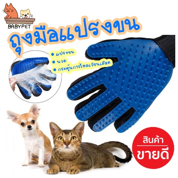 ภาพหน้าปกสินค้าBABY PET ถุงมือแปรงขนสัตว์เลี้ยง อุปกรณ์แปรงขนแมว  ใช้ง่าย จากร้าน babypet99 บน Shopee