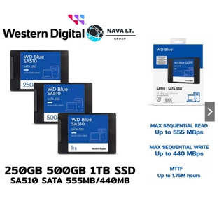⚡️กรุงเทพฯด่วน1ชั่วโมง⚡️250GB 500GB 1TB (เอสเอสดี) WD BLUE SA510 SATA WDS250G2B0A WDS500G2B0A WDS100T2B0A ประกัน 5 ปี
