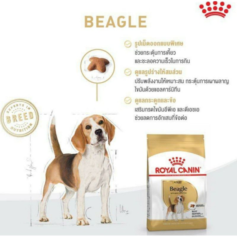 royal-canin-beagle-adult-12kg-อาหารเม็ด-พันธุ์-บีเกิ้ล-12-kg