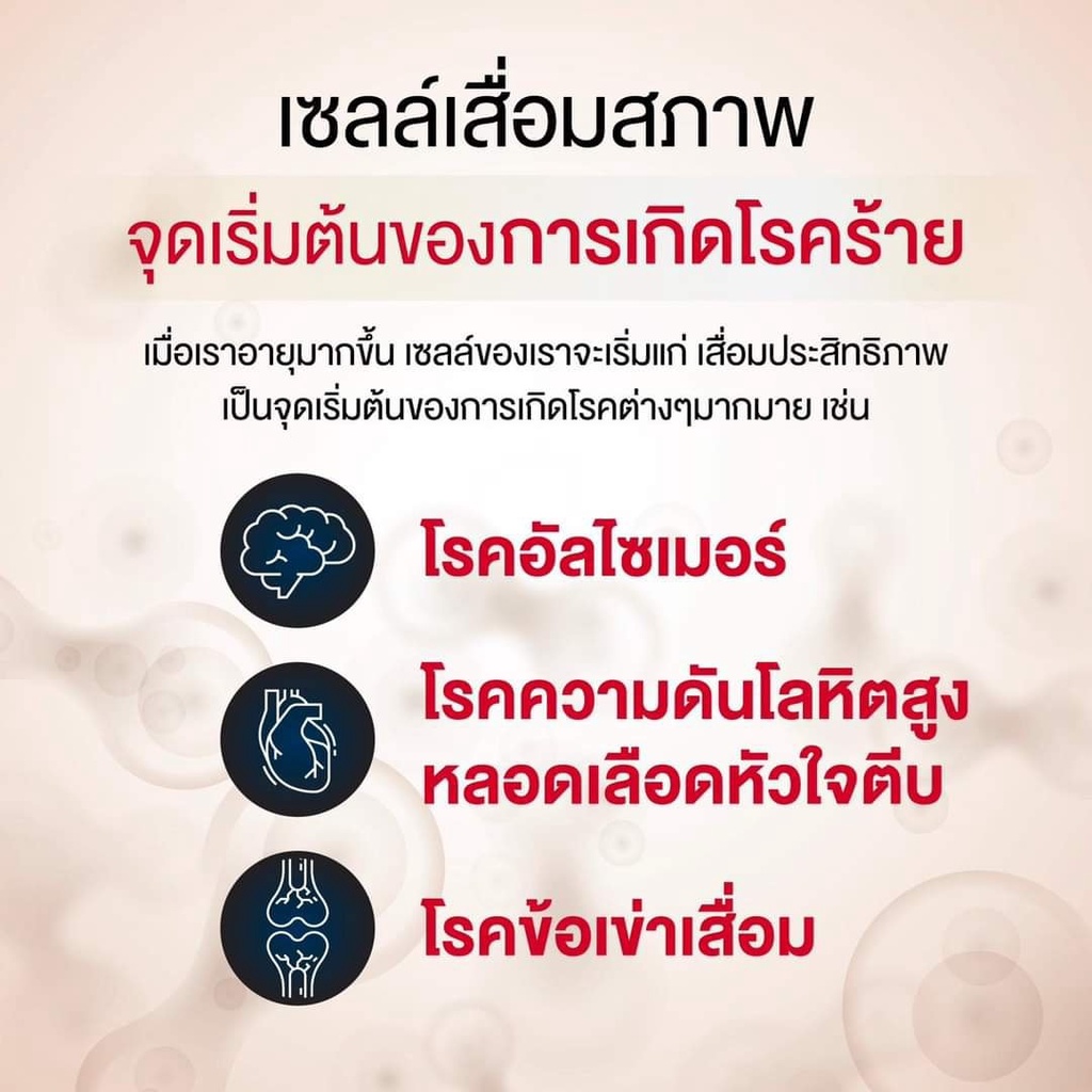 3แถม1-ลดเพิ่ม300-ทักแชท-autophile-plus-ออโตฟิล-พลัส-บำรุง-ฟื้นฟูเซลล์-ป้องกันโรคร้าย-ลดไขมัน-ระบบเผาผลาญดีขึ้น-kenki