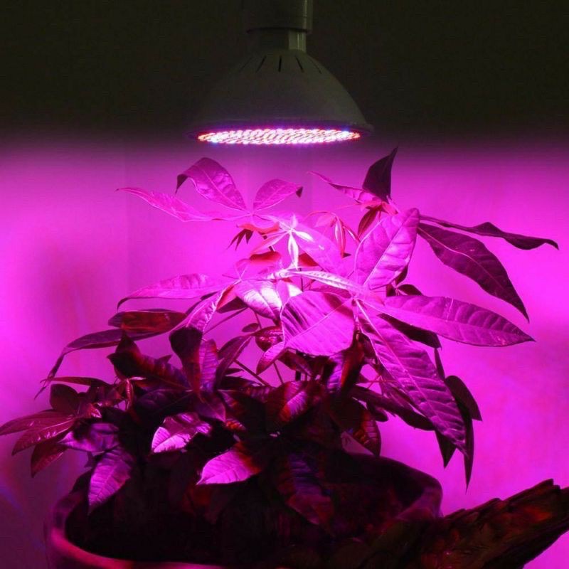 e27-โคมไฟปลูกต้นไม้-หลอดไฟปลูกต้นไม้-led-grow-light-full-spectrum-ไฟส่องต้นไม้-ไฟปลูกพืช-ไฟเลี้ยงต้นไม้-เต้นปลูกต้นไม้