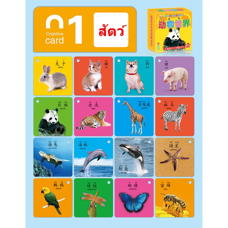 บัตรคำภาษาจีน-บัตรคำศัพท์ภาษาจีน-การ์ดคำศัพท์ภาษาจีน-chinese-flash-card-อาชีพ-ผัก-ผลไม้-สัตว์-ธงชาติ-การ์ดคำศัพท์