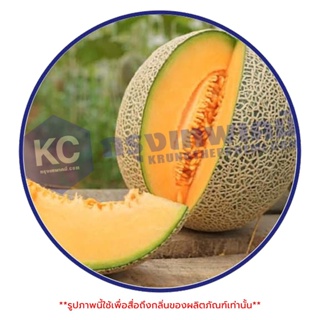 ภาพขนาดย่อของภาพหน้าปกสินค้าA059ML-25G Melon Fragrance : หัวน้ำหอม กลิ่นเมล่อน 25 กรัม จากร้าน krungthepchemi บน Shopee