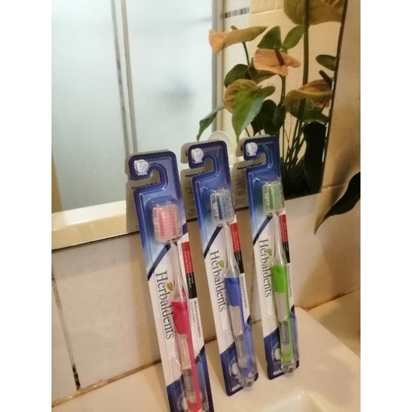 ราคาถูกที่สุด-แปรงสีฟัน-herbal-dents-ขนาดขนแปรงอ่อนนุ่ม-สินค้าผลิตจากประเทศเกาหลี