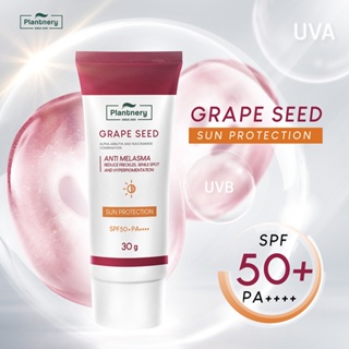 ภาพขนาดย่อของภาพหน้าปกสินค้าPlantnery Grape Seed Sunscreen Cream SPF50+ PA++++ 30 g ครีมกันแดด ปกป้องผิวลดฝ้า กระ จากร้าน naturylab บน Shopee ภาพที่ 2