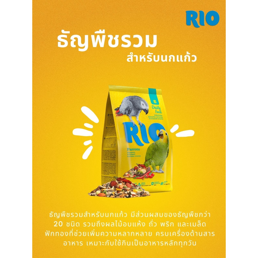 Rio Parrots อาหารนกนก ธัญพืชรวมสำหรับนกแก้วขนาดกลาง - ใหญ่ ธัญพืชผสม ...