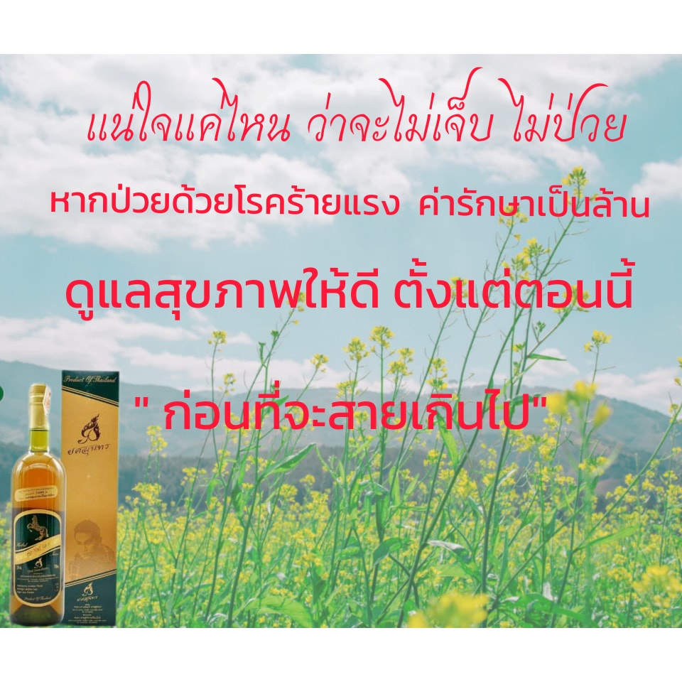 แท้-ส่งฟรี-คาวตองยศสุนทร-น้ำคาวตองขวดใหญ่-ดั้งเดิม