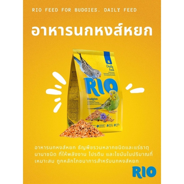 rio-budgie-อาหารธัญพืชสำหรับนกขนาดเล็ก