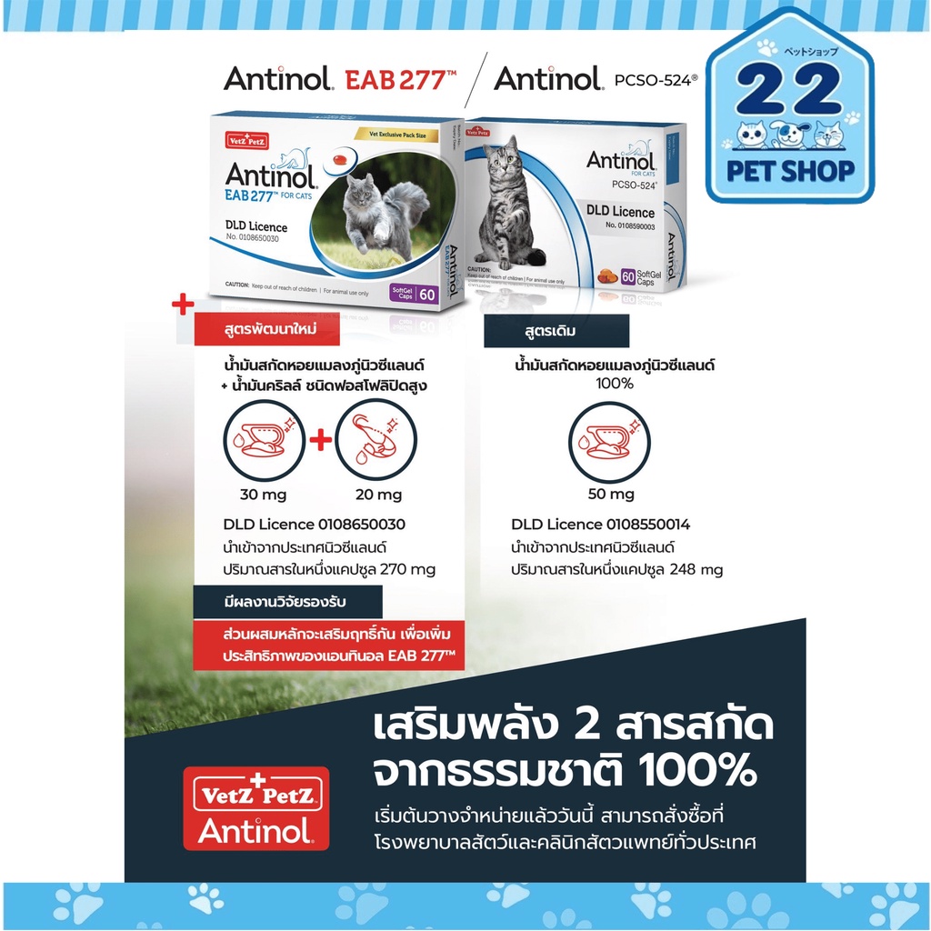 antinol-eab277-for-cats-60-แคปซูล-ผลิตภัณฑ์เสริมอาหารสำหรับแมว-ของแท้-100-บรรจุ-60-แคปซูล