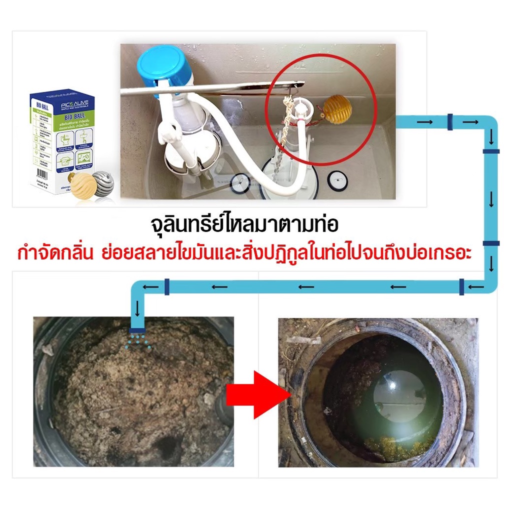 ลูกบอลจุลินทรีย์กำจัดกลิ่น-ย่อยสลายไขมัน-แก้ท่อตัน-2-กล่อง-1-กล่อง-บรรจุ-10-ลูก-ราคา-1-200-บาท