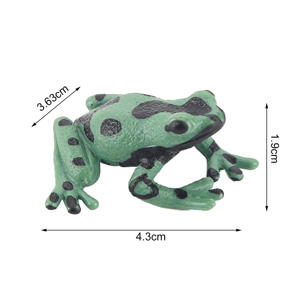 ag-frog-model-smell-less-solid-pvc-realistic-frog-figure-for-home