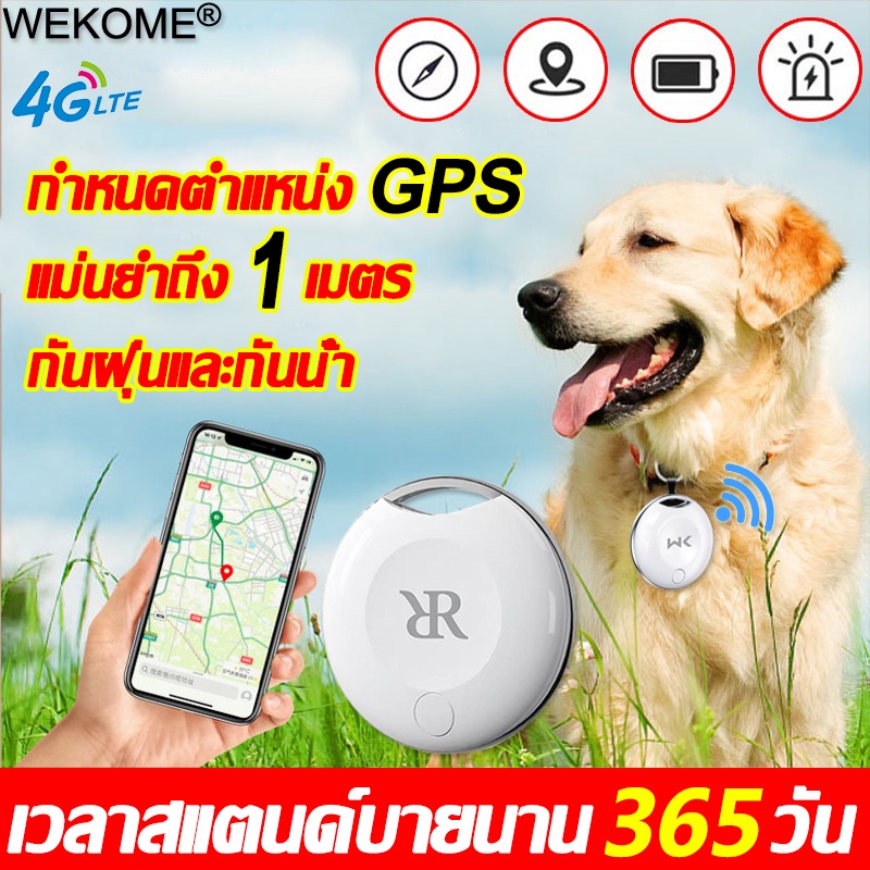 ภาพหน้าปกสินค้าGPSวางตำแหน่งใน 1 วินาที GPSสัตว์เลี้ยง กันน้ำและทนทาน 4GWiFi GPS สำหรับสัตว์เลี้ยง gpsแมว จีพีเอสแมว dog GPS cat gps