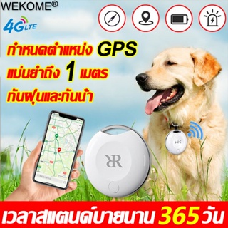 สินค้า GPSวางตำแหน่งใน 1 วินาที GPSสัตว์เลี้ยง กันน้ำและทนทาน 4GWiFi GPS สำหรับสัตว์เลี้ยง gpsแมว จีพีเอสแมว dog GPS cat gps